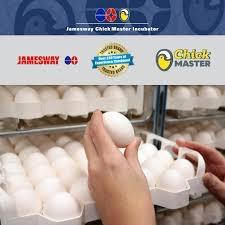 Egg-News