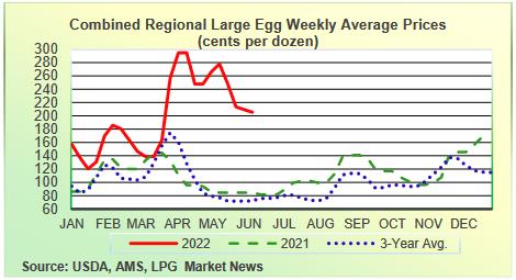 Egg-News
